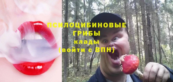 ешки Алексеевка