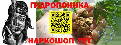 спиды Кимры