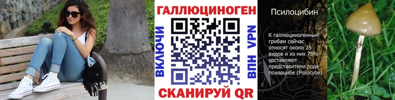Псилоцибиновые грибы Cubensis  Искитим 